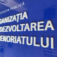 Panou intrare
