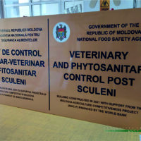 PostVamal2